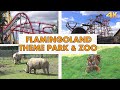 FLAMINGO LAND THEME PARK ZOO 4K