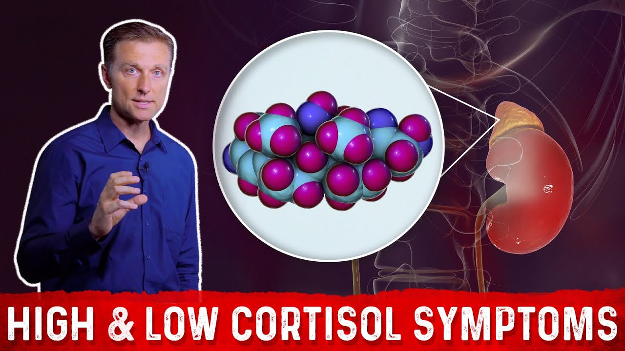 Low vs. High Cortisol Levels Symptoms Explained By Dr.Berg - YouTube