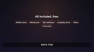 DomainIntel: Check Who Owns Any Website (Free Chrome Extension)