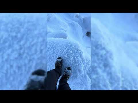 Nature TikTok Video Completion/ Aesthetic Video