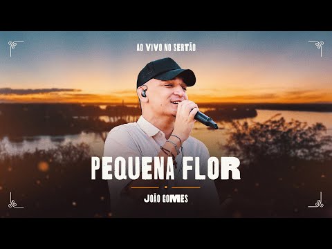 João Gomes Cantor - PEQUENA FLOR - João Gomes (Ao Vivo no Sertão)