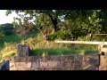 Abandoned Locks at Appley Bridge