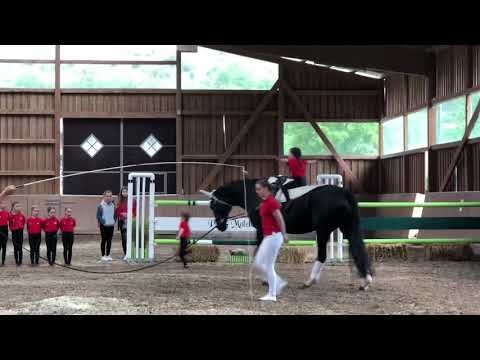 Voltigier Tunier Molzbach 2018 Pflicht