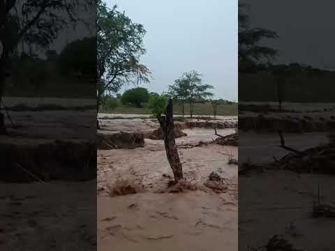 Chuvas no Nordeste : Povoado jurema de Adustina Bahia - Imagens raimundaodoagrocapoeira