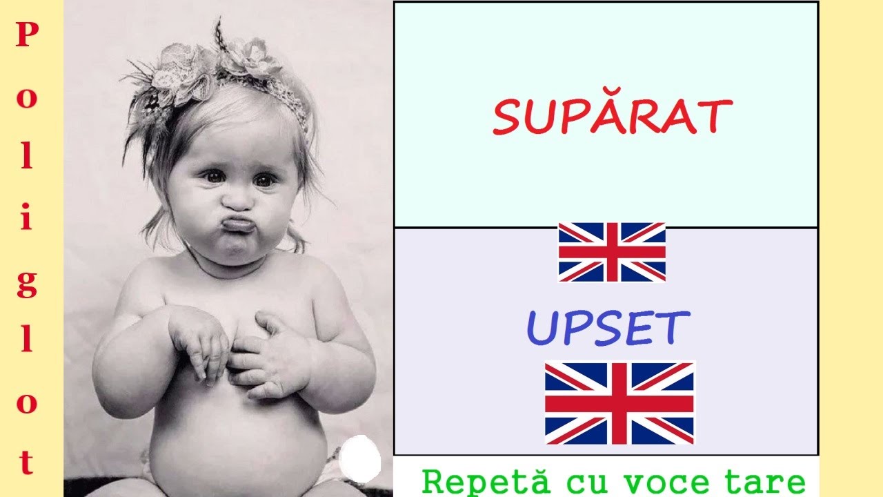 CUVINTE ENGLEZE CU ILUSTRATII usor de memorat.