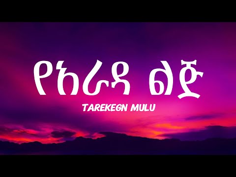 Tarekegn Mulu - YeArada Lij | ታረቀኝ ሙሉ - የአራዳ ልጅ - New Ethiopian Music Lyrics 2025