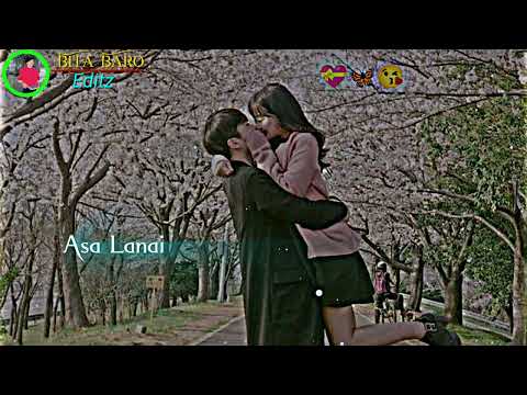 Mithingaya Gab 🌷 Swlai langbai 🥰 Bodo WhatsApp status 🎶  💝 🥀