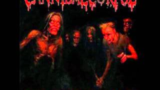 Evisceration Plauge - Cannibal Corpse (With Lyrics)