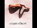 Wicked Wisdom- Fakeness 