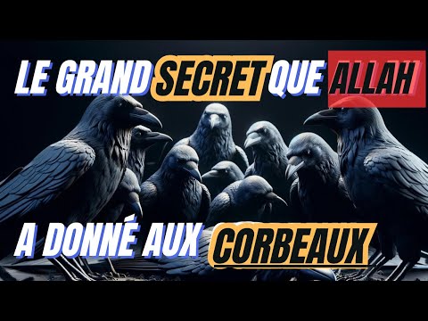 THE GREAT MYSTERY THAT ALLAH GAVE TO THE CROWS - REVEALED 1400 YEARS AGO!