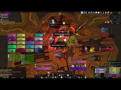 Not Sure If Trolling vs. Zul Mythic :: World Rank 1 Execution Kill [ Gilthia ¤ Holy Paladin PoV ]