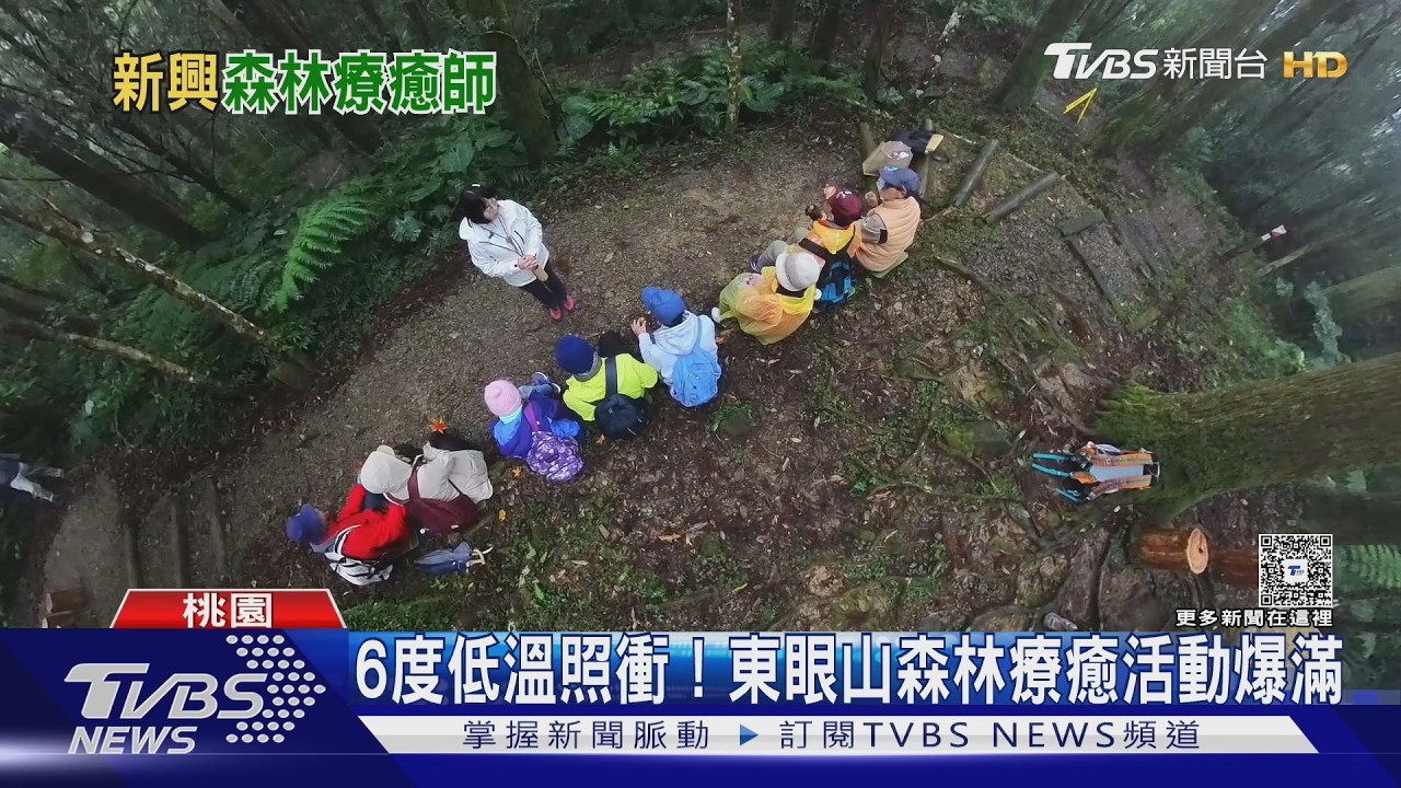 森林療癒師成新斜槓職業 民眾山林中學紓壓