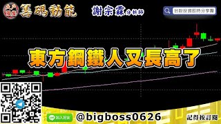 【大戶羅盤籌碼動能】 #謝宗霖0916，東方鋼鐵人又長高了 (圖)