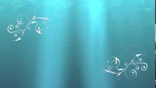 Ritschi Bim erste Schritt Musik Video