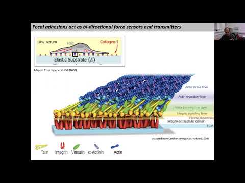 QLS Seminar - Ben Goult - November 30