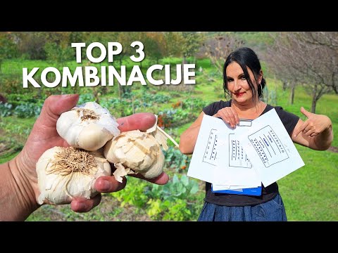Top 3 Combinations For Winter Planting of GARLIC