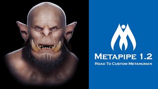 (OLD) Metapipe 1.2: Road to Custom Metahuman: