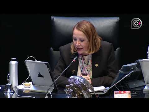 Segunda parte de la sesión de la Cámara de Senadores, del 4 de diciembre de 2025