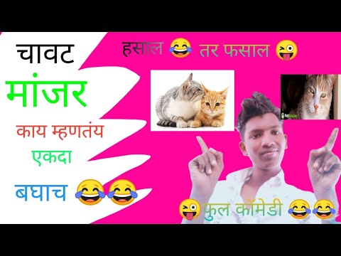 ||चावट 🐈मांजर काय ‌मागतय नक्की बघा 😂 ||😂#fullcomedy #marathicomedy #viral #catcomedyvideo