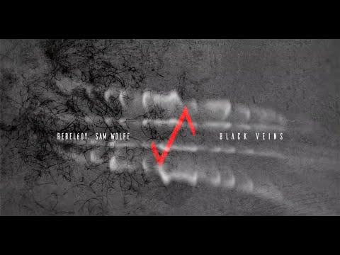 Rebel Boy, Sam WOLFE - Black Veins [1605]