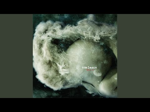 Sometimes Selling Out Is Waking Up video thumbnail