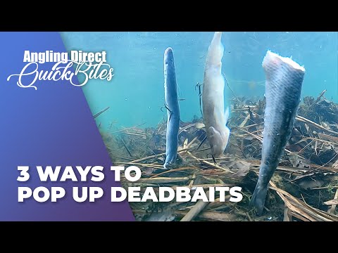 AD Quickbite – 3 Ways To Pop Up Deadbaits