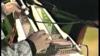 LINDLEY BROWNE RAITT COLVIN HORNSBY Mercury Blues Live