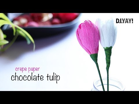 DIY Crepe Paper Chocolate Tulip | Paper Flowers | Craft Ideas