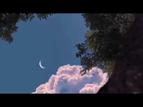 Омар Хишам Рукия