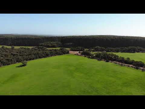 105 Colmans Road, Western River, SA 5223, 0 slaapkamers, 0 badkamers, Lifestyle Property