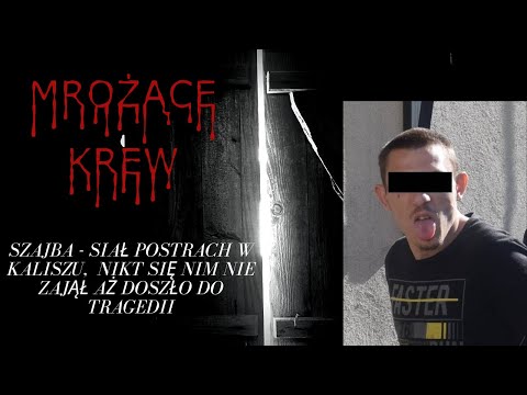 Madness - The terror of Kalisz that no one wanted to deal with