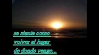 feels like home letra en español