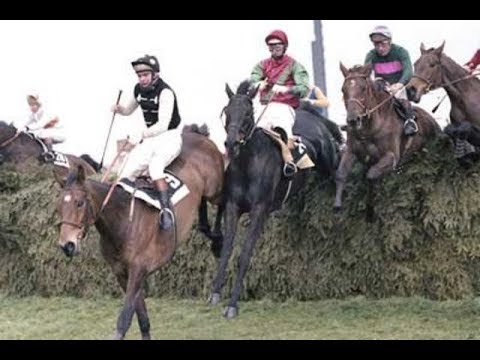 The BBC Grand National 1978 - Lucius