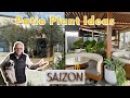 Patio Plants & Patio Design at Saizon Fresno (While Sprucing Up Struggling Plants)