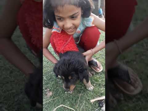 Swasti Playing @ Motika May 2019