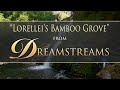 "Lorellei's Bamboo Grove" from DREAMSTREAMS by Dean Evenson
