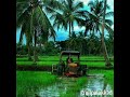 Troll Palakkad