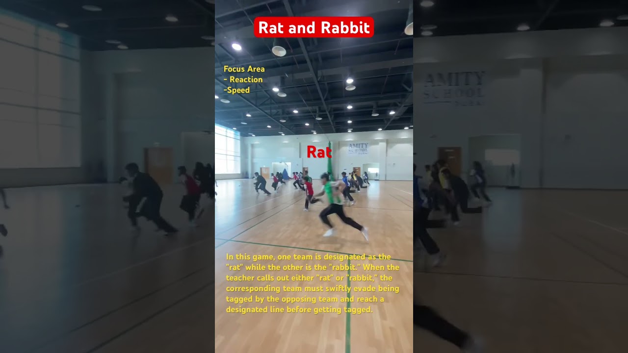 Rat and Rabbit : fun activity to develop reaction skills and speed. #pegames #physicaleducation