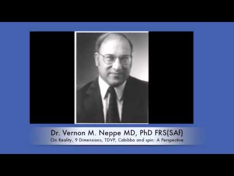 Reality, 9 Dimensions, TDVP, Cabibbo, and Spin: A Perspective  ( Neppe 1.0 130717M)