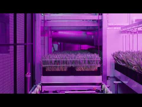 Productvideo - KG Systems