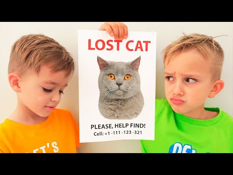 Vlad and Nikita Lost our cat