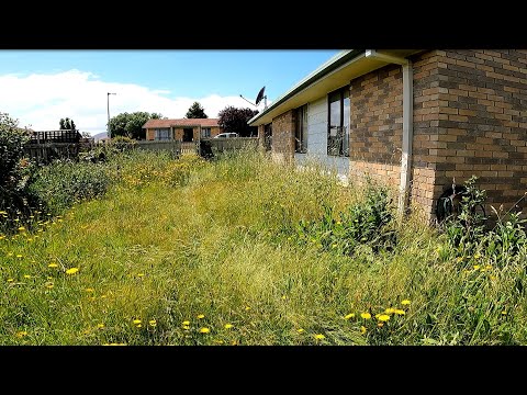 Garden Catastrophe Restoration | Watch us Transform this Jungle