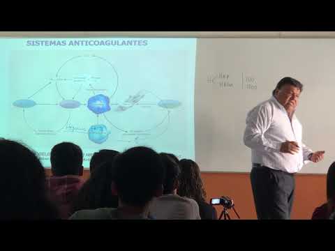 Semestre II/Fisiología - Leucocitos(I)