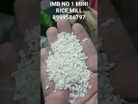 3 HP Mini Rice Mill 6 N 40