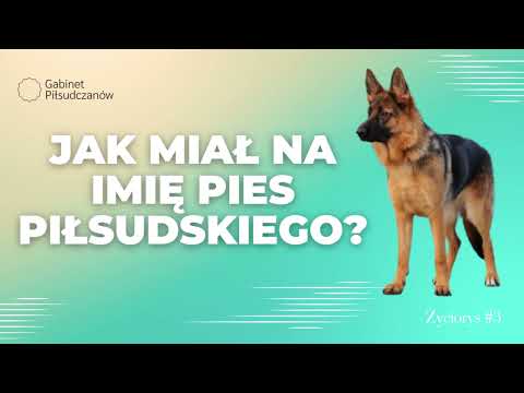 Jak miał na imię pies Józefa Piłsudskiego? Opowieść od psie Marszałka.