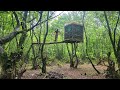 75 Days Of Living In The Forest Alone