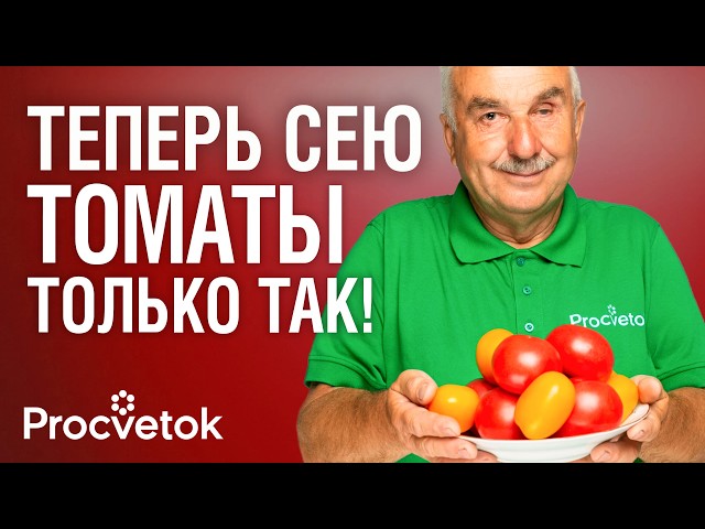 ТОМАТЫ ЗАВАЛЯТ УРОЖАЕМ И НЕ БУДУТ БОЛЕТЬ ФИТОФТОРОЙ при таком способе посева