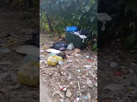NAIRA DA LIMPEZA  X POVO PORCO DA CIDADE DE JUQUITIBA