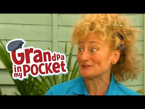 Energetic Explorer | Expedition | Garden Mischief | Mr Hackit | Grandpa S1/S3 | Compilation