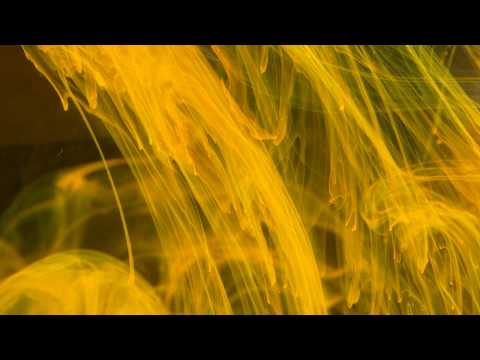 Buga feat  LXE  - Целуюсь по привычке